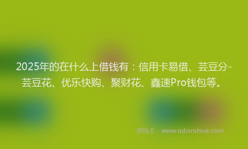 2025年的在什么上借钱有：信用卡易借、芸豆分-芸豆花、优乐快购、聚财花、鑫速Pro钱包等。