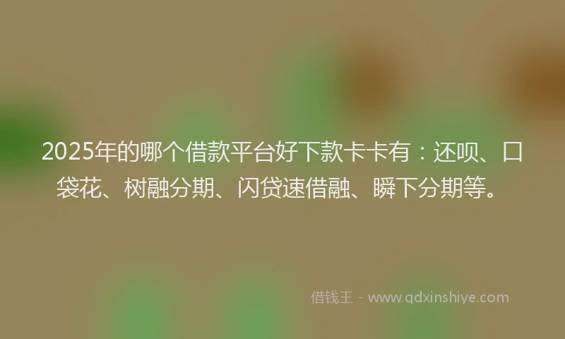 2025年的哪个借款平台好下款卡卡有：还呗、口袋花、树融分期、闪贷速借融、瞬下分期等。