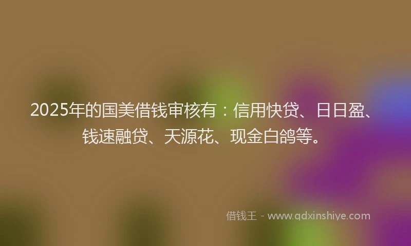 2025年的国美借钱审核有：信用快贷、日日盈、钱速融贷、天源花、现金白鸽等。