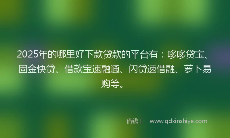 2025年的哪里好下款贷款的平台有：哆哆贷宝、固金快贷、借款宝速融通、闪贷速借融、萝卜易购等。