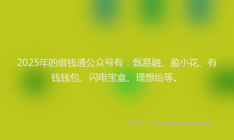 2025年的借钱通公众号有：甄易融、盈小花、有钱钱包、闪电宝盒、理想给等。