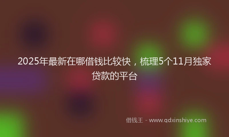2025年最新在哪借钱比较快，梳理5个11月独家贷款的平台