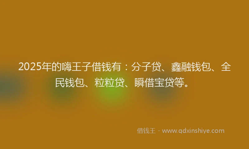 2025年的嗨王子借钱有：分子贷、鑫融钱包、全民钱包、粒粒贷、瞬借宝贷等。