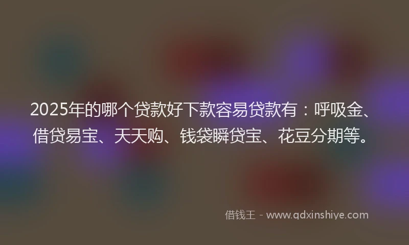2025年的哪个贷款好下款容易贷款有：呼吸金、借贷易宝、天天购、钱袋瞬贷宝、花豆分期等。