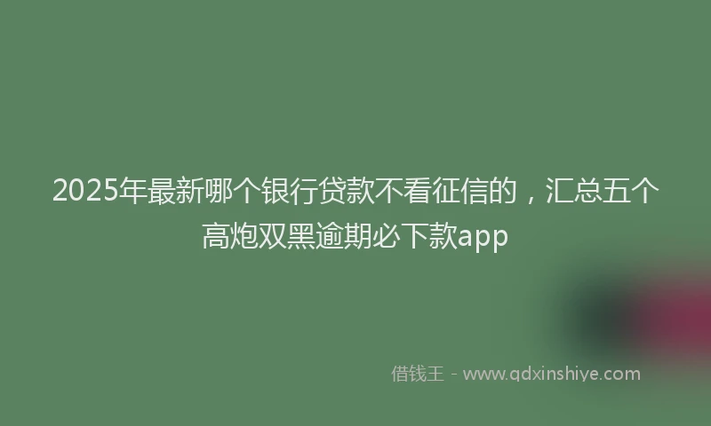 2025年最新哪个银行贷款不看征信的，汇总五个高炮双黑逾期必下款app