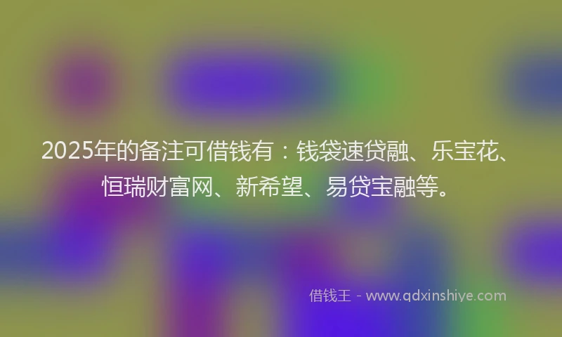 2025年的备注可借钱有：钱袋速贷融、乐宝花、恒瑞财富网、新希望、易贷宝融等。