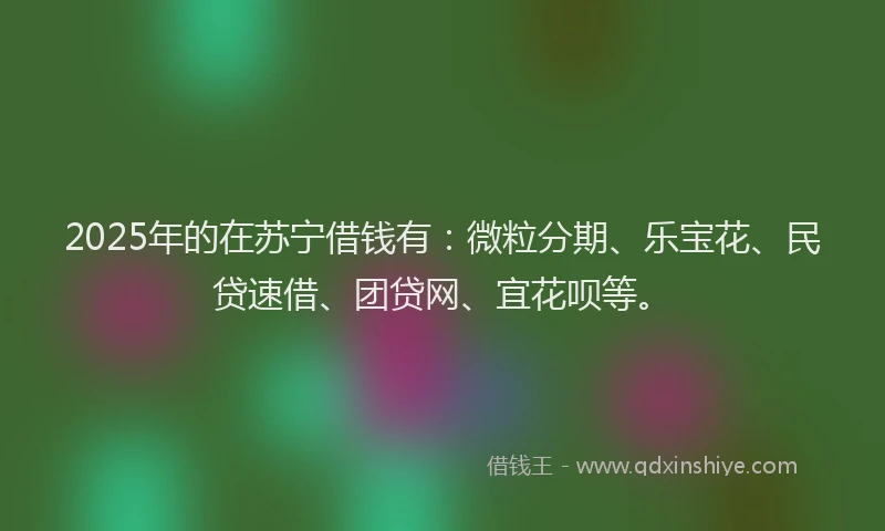 2025年的在苏宁借钱有：微粒分期、乐宝花、民贷速借、团贷网、宜花呗等。