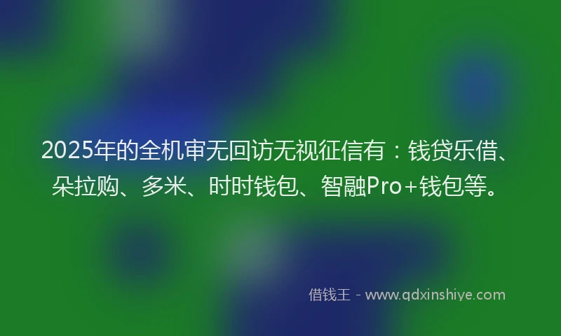 2025年的全机审无回访无视征信有：钱贷乐借、朵拉购、多米、时时钱包、智融Pro+钱包等。