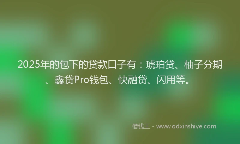 2025年的包下的贷款口子有：琥珀贷、柚子分期、鑫贷Pro钱包、快融贷、闪用等。