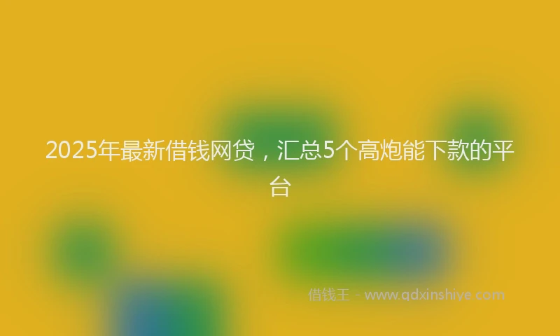 2025年最新借钱网贷，汇总5个高炮能下款的平台