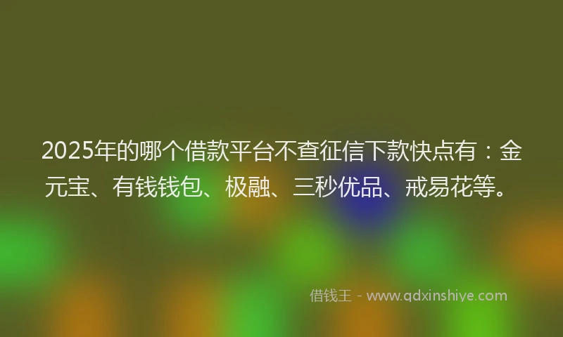 2025年的哪个借款平台不查征信下款快点有：金元宝、有钱钱包、极融、三秒优品、戒易花等。