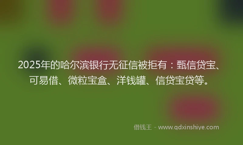 2025年的哈尔滨银行无征信被拒有：甄信贷宝、可易借、微粒宝盒、洋钱罐、信贷宝贷等。