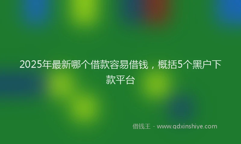 2025年最新哪个借款容易借钱，概括5个黑户下款平台