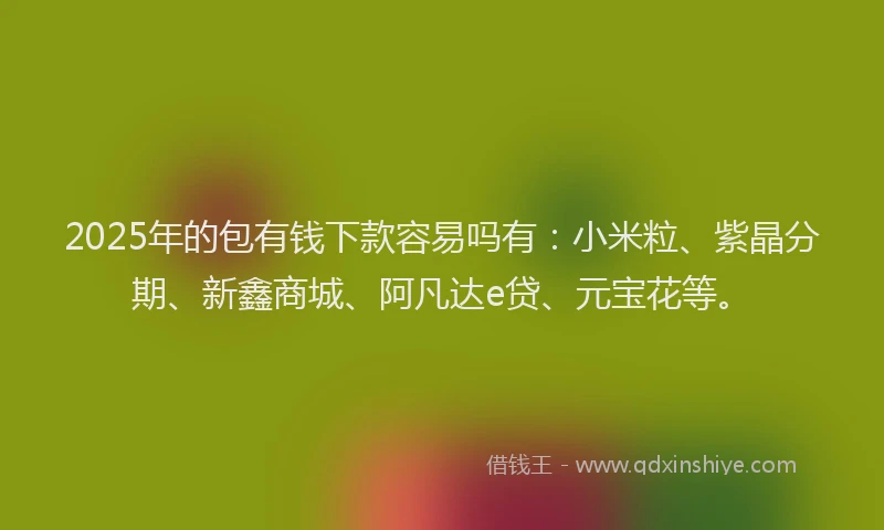2025年的包有钱下款容易吗有：小米粒、紫晶分期、新鑫商城、阿凡达e贷、元宝花等。