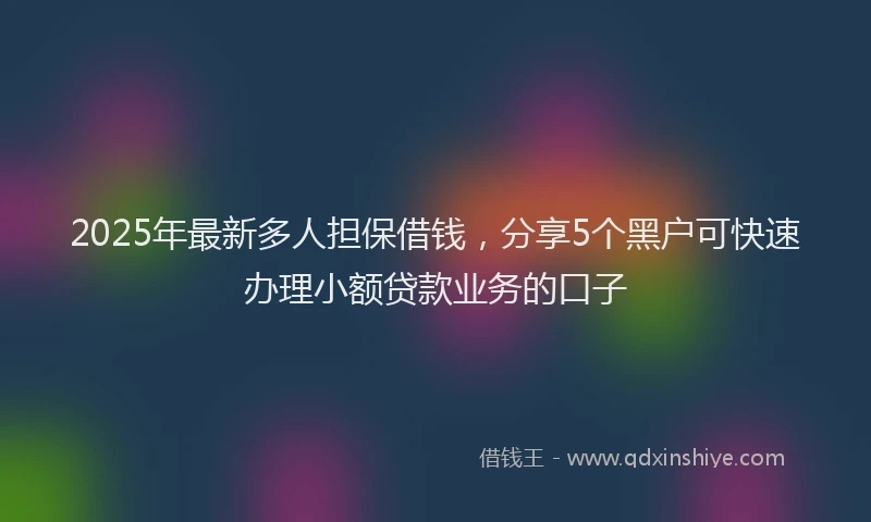 2025年最新多人担保借钱，分享5个黑户可快速办理小额贷款业务的口子