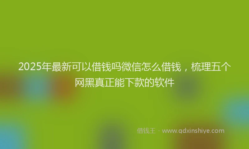 2025年最新可以借钱吗微信怎么借钱，梳理五个网黑真正能下款的软件