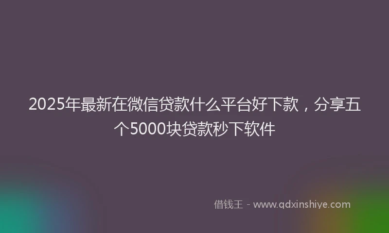 2025年最新在微信贷款什么平台好下款，分享五个5000块贷款秒下软件