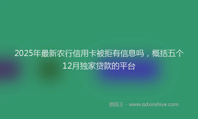 2025年最新农行信用卡被拒有信息吗，概括五个12月独家贷款的平台