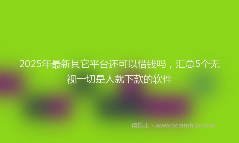 2025年最新其它平台还可以借钱吗，汇总5个无视一切是人就下款的软件