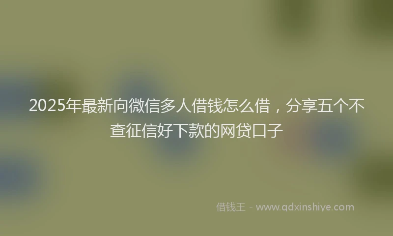 2025年最新向微信多人借钱怎么借，分享五个不查征信好下款的网贷口子