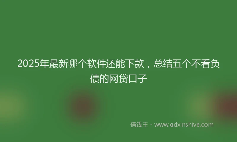 2025年最新哪个软件还能下款，总结五个不看负债的网贷口子