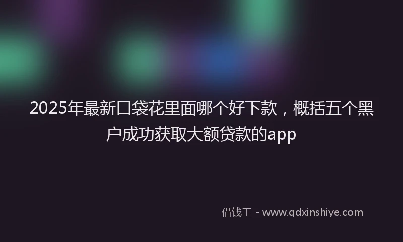2025年最新口袋花里面哪个好下款，概括五个黑户成功获取大额贷款的app