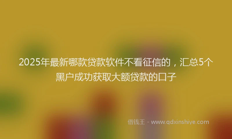 2025年最新哪款贷款软件不看征信的，汇总5个黑户成功获取大额贷款的口子