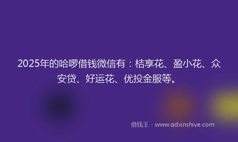 2025年的哈啰借钱微信有：桔享花、盈小花、众安贷、好运花、优投金服等。