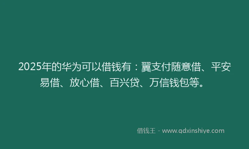 2025年的华为可以借钱有：翼支付随意借、平安易借、放心借、百兴贷、万信钱包等。