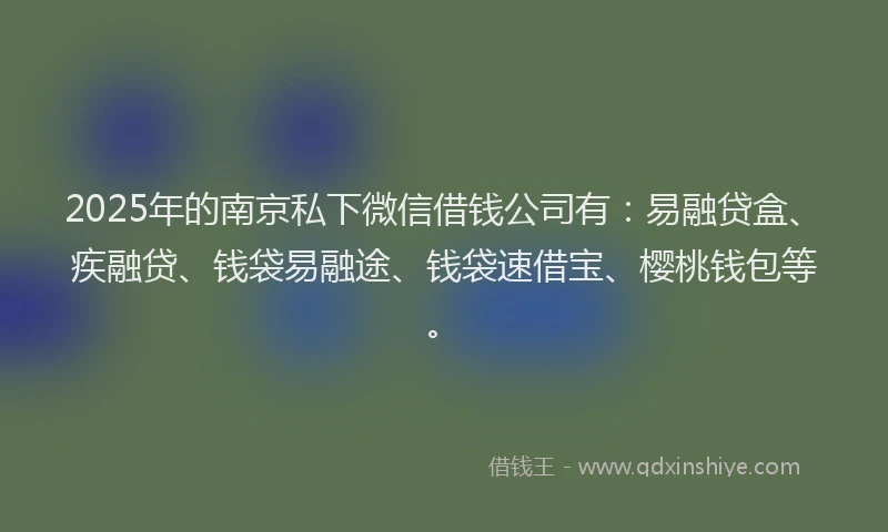 2025年的南京私下微信借钱公司有：易融贷盒、疾融贷、钱袋易融途、钱袋速借宝、樱桃钱包等。