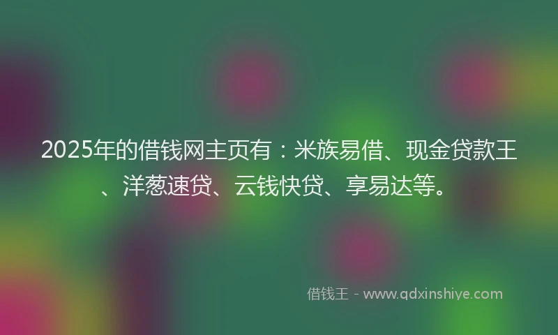 2025年的借钱网主页有：米族易借、现金贷款王、洋葱速贷、云钱快贷、享易达等。