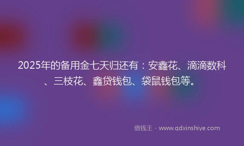 2025年的备用金七天归还有：安鑫花、滴滴数科、三枝花、鑫贷钱包、袋鼠钱包等。