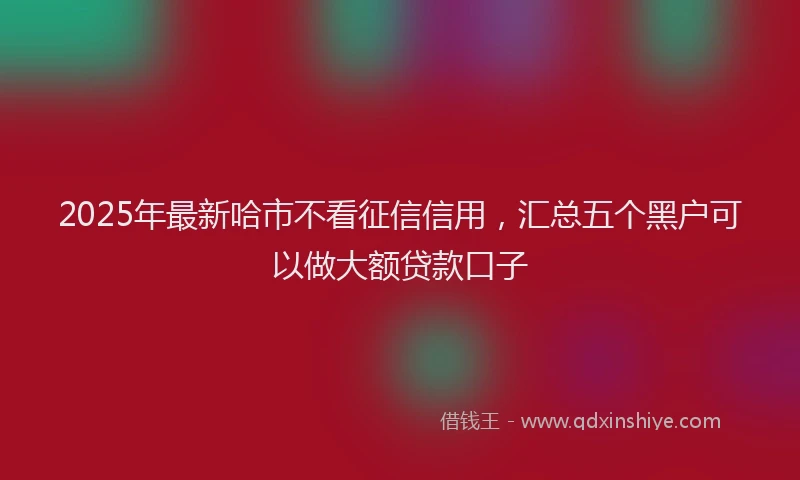 2025年最新哈市不看征信信用，汇总五个黑户可以做大额贷款口子