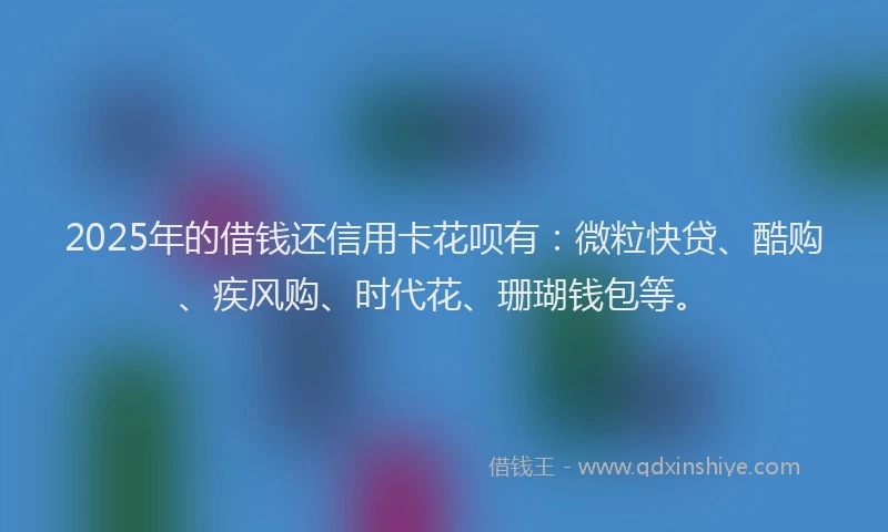 2025年的借钱还信用卡花呗有：微粒快贷、酷购、疾风购、时代花、珊瑚钱包等。