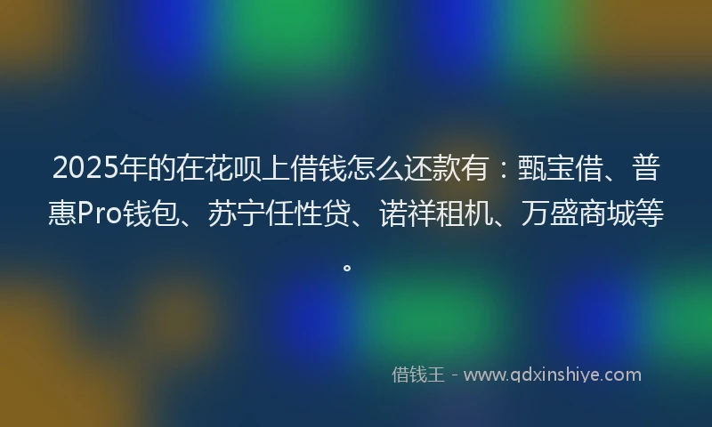 2025年的在花呗上借钱怎么还款有：甄宝借、普惠Pro钱包、苏宁任性贷、诺祥租机、万盛商城等。