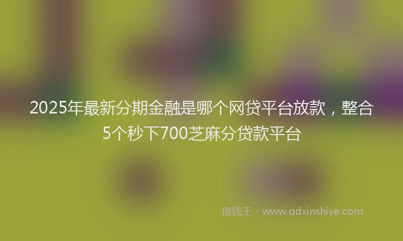 2025年最新分期金融是哪个网贷平台放款，整合5个秒下700芝麻分贷款平台