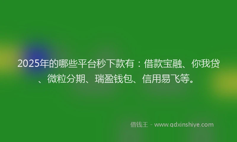 2025年的哪些平台秒下款有：借款宝融、你我贷、微粒分期、瑞盈钱包、信用易飞等。
