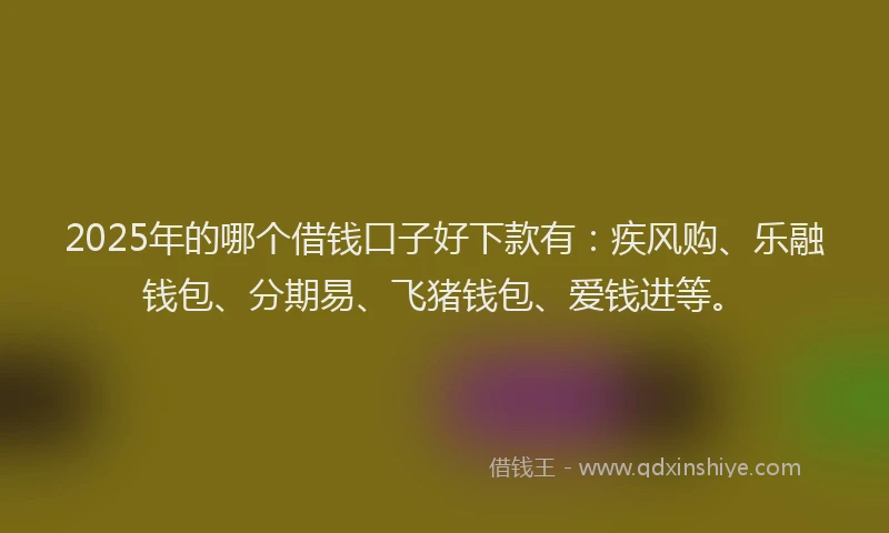 2025年的哪个借钱口子好下款有：疾风购、乐融钱包、分期易、飞猪钱包、爱钱进等。