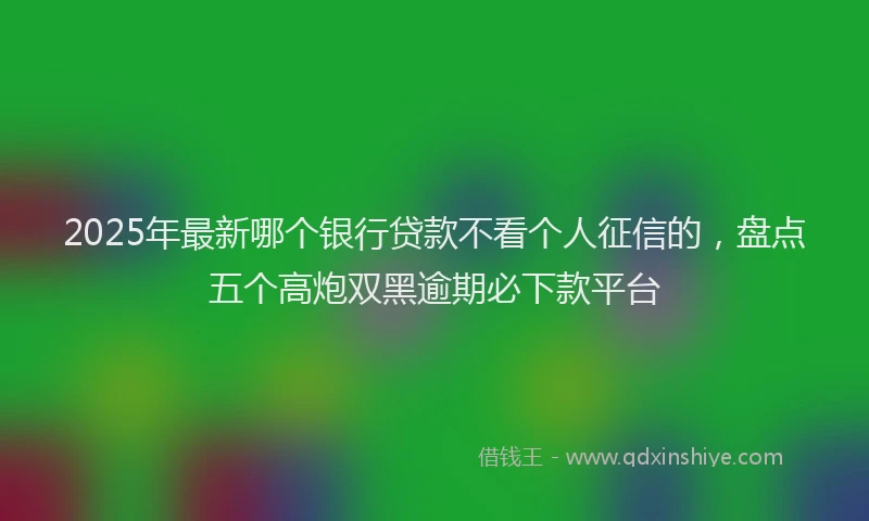 2025年最新哪个银行贷款不看个人征信的，盘点五个高炮双黑逾期必下款平台
