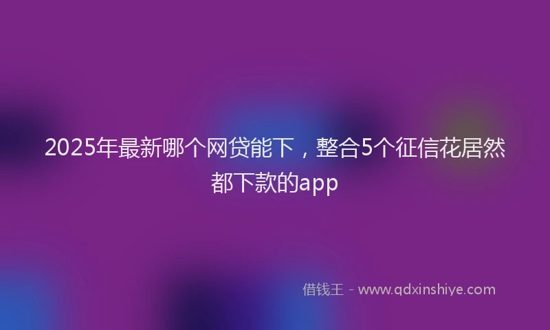 2025年最新哪个网贷能下，整合5个征信花居然都下款的app