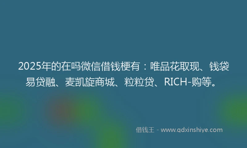 2025年的在吗微信借钱梗有：唯品花取现、钱袋易贷融、麦凯旋商城、粒粒贷、RICH-购等。