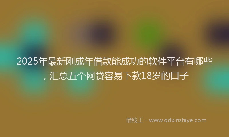 2025年最新刚成年借款能成功的软件平台有哪些，汇总五个网贷容易下款18岁的口子