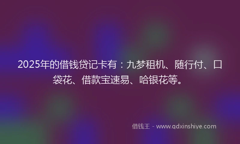 2025年的借钱贷记卡有：九梦租机、随行付、口袋花、借款宝速易、哈银花等。