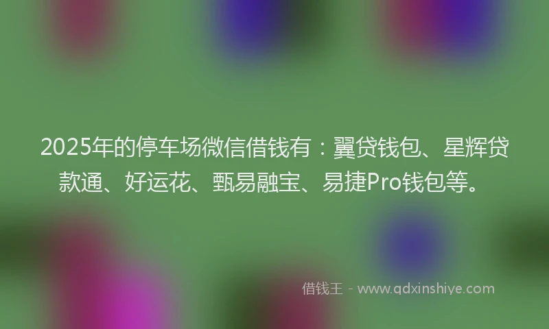 2025年的停车场微信借钱有：翼贷钱包、星辉贷款通、好运花、甄易融宝、易捷Pro钱包等。