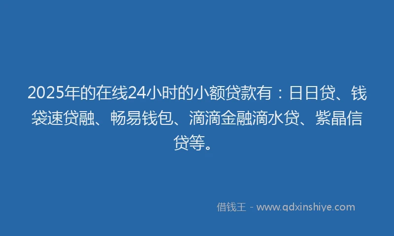 2025年的在线24小时的小额贷款有：日日贷、钱袋速贷融、畅易钱包、滴滴金融滴水贷、紫晶信贷等。