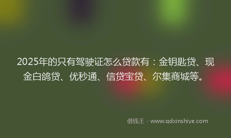 2025年的只有驾驶证怎么贷款有：金钥匙贷、现金白鸽贷、优秒通、信贷宝贷、尔集商城等。