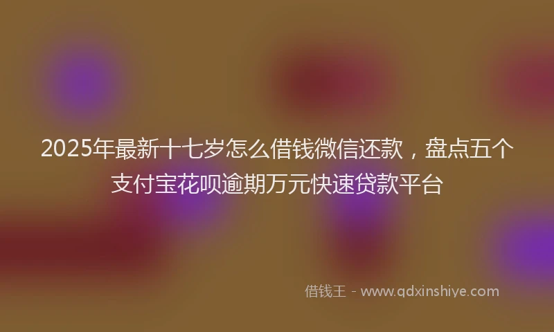 2025年最新十七岁怎么借钱微信还款，盘点五个支付宝花呗逾期万元快速贷款平台