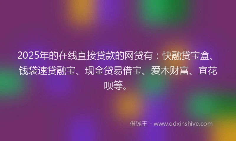 2025年的在线直接贷款的网贷有：快融贷宝盒、钱袋速贷融宝、现金贷易借宝、爱木财富、宜花呗等。
