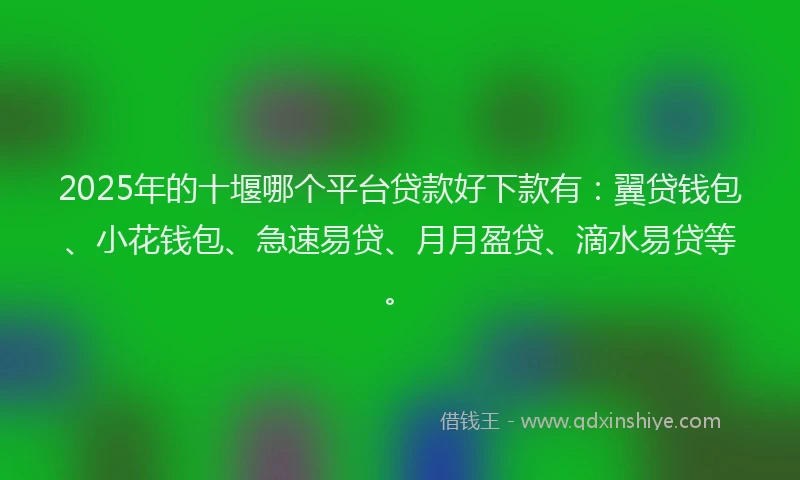2025年的十堰哪个平台贷款好下款有：翼贷钱包、小花钱包、急速易贷、月月盈贷、滴水易贷等。