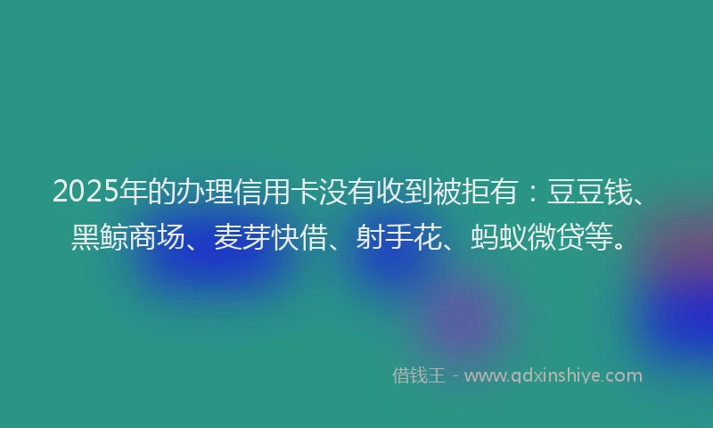 2025年的办理信用卡没有收到被拒有：豆豆钱、黑鲸商场、麦芽快借、射手花、蚂蚁微贷等。